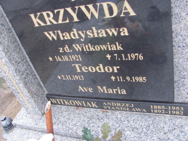 Władysława Krzywda 1921 Kobylin - Grobonet - Wyszukiwarka osób pochowanych