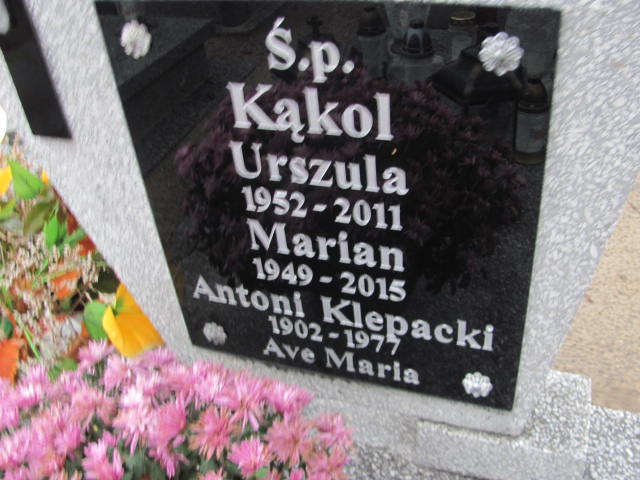 Antoni Klepacki 1901 Kobylin - Grobonet - Wyszukiwarka osób pochowanych